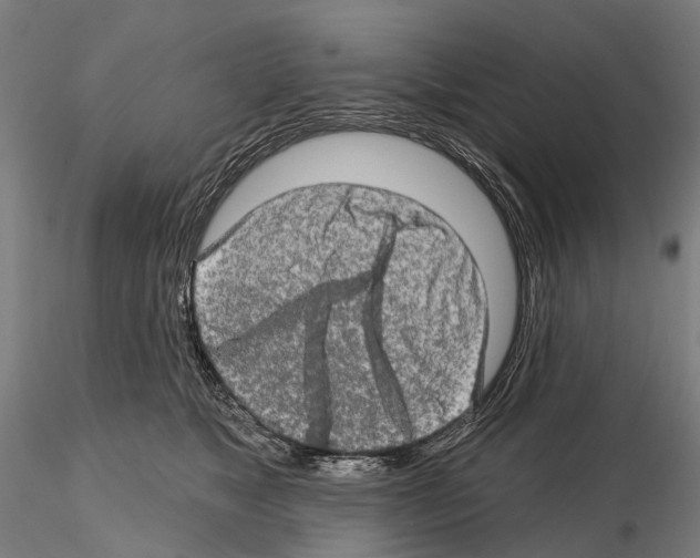 X0000114650517200912011115