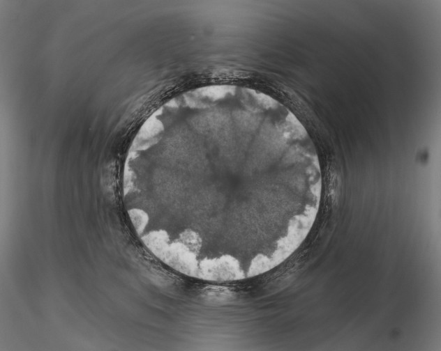 X0000114650519200912011115