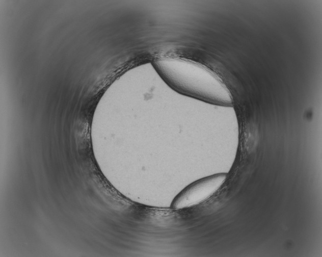 X0000114650521200912011115