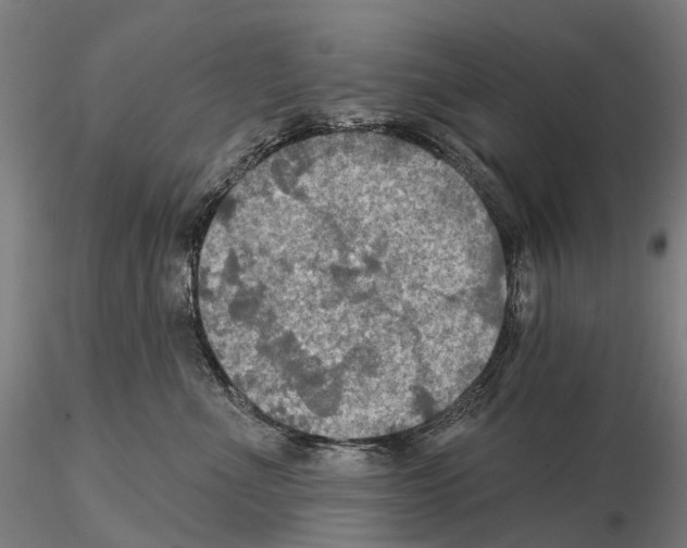 X0000114650523200912011115