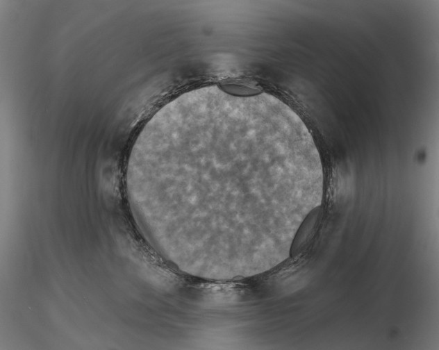 X0000114650524200912011115