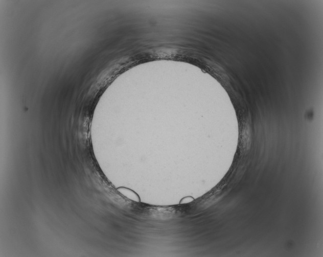 X0000114650525200912011115