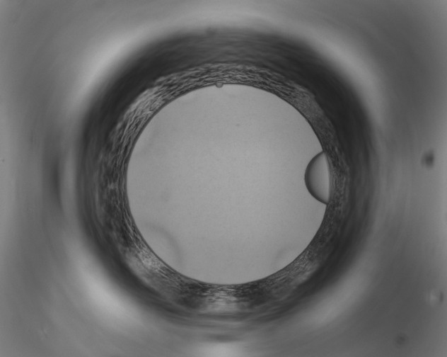 X0000114650526200912011115