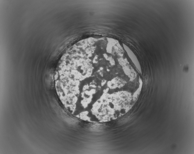 X0000114650527200912011115