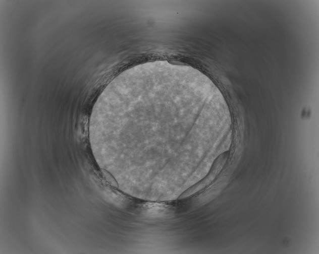 X0000114650528200912011115