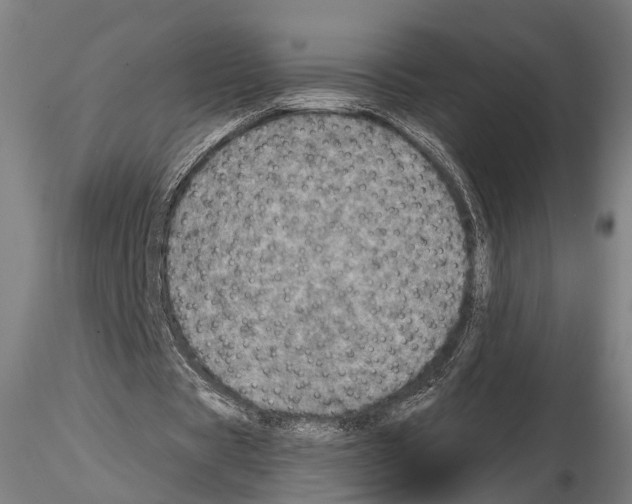 X0000114650529200912011114