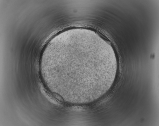 X0000114650530200912011114