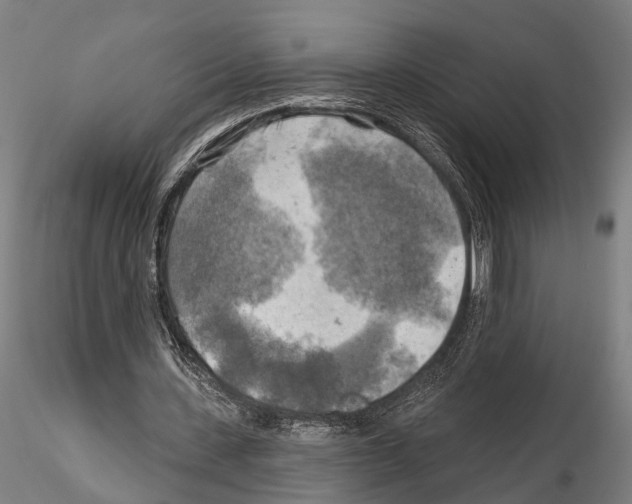 X0000114650531200912011114