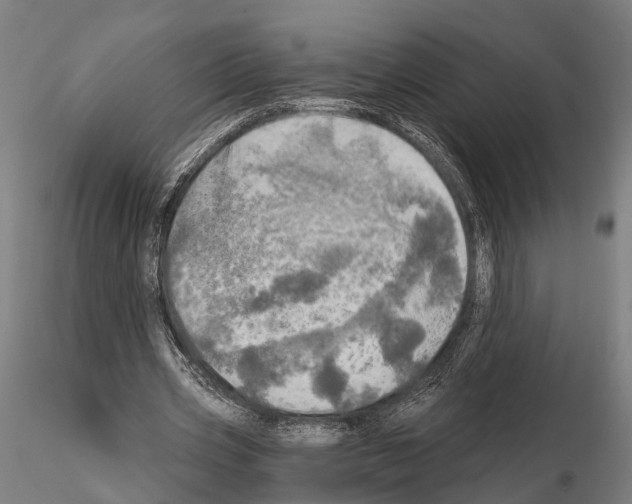 X0000114650533200912011114