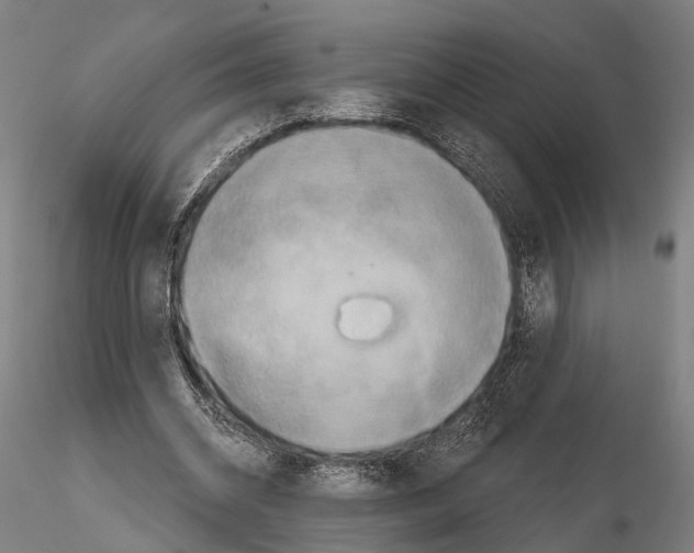 X0000114650534200912011114