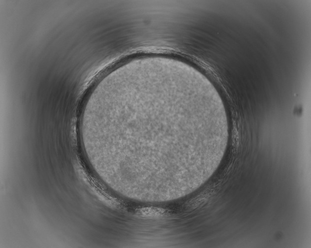 X0000114650535200912011114