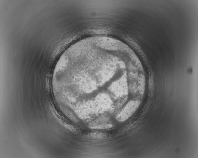 X0000114650537200912011114