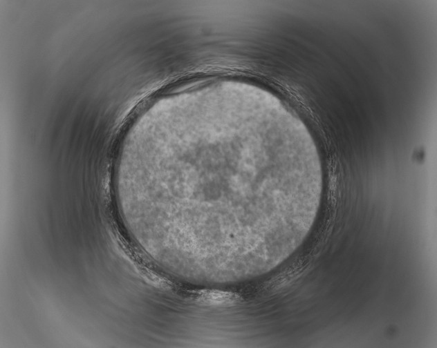 X0000114650539200912011114