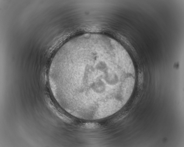 X0000114650541200912011114