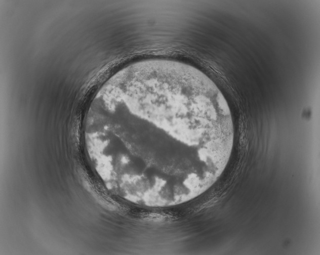 X0000114650542200912011114