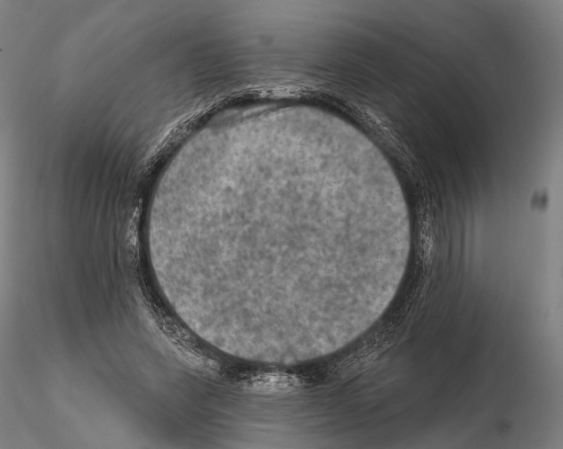 X0000114650543200912011114