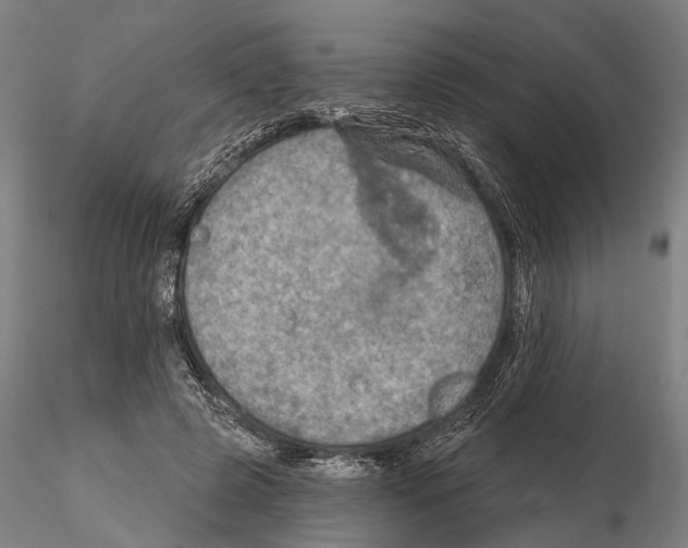 X0000114650545200912011114