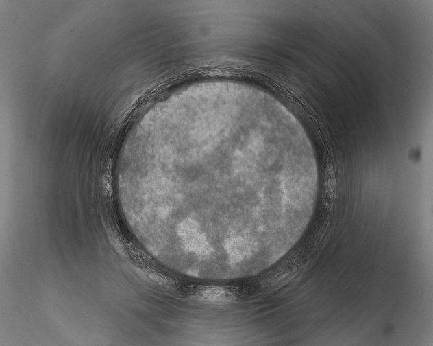 X0000114650547200912011114