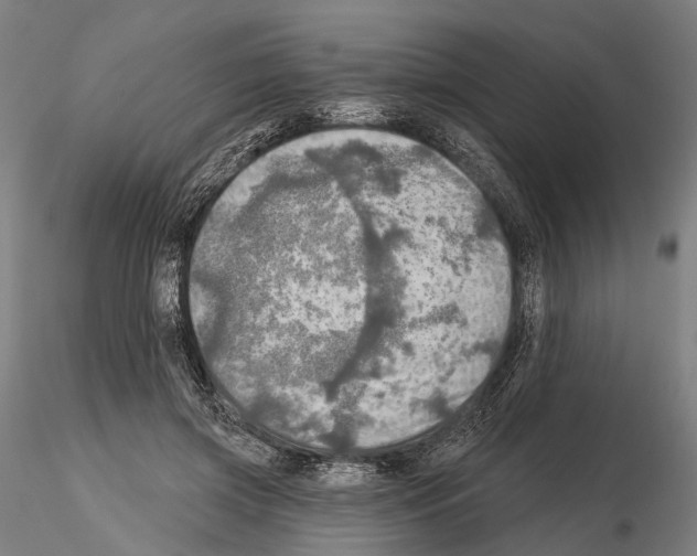 X0000114650549200912011114