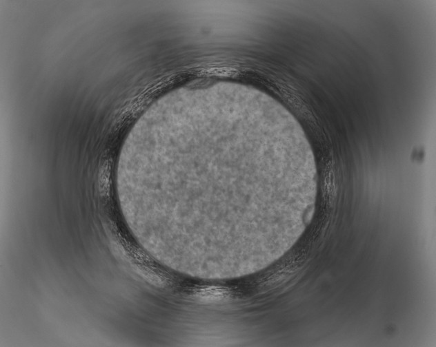 X0000114650551200912011114