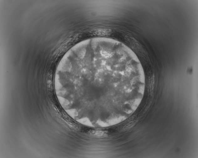 X0000114650553200912011114