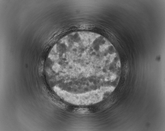 X0000114650554200912011114