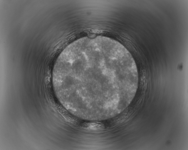 X0000114650555200912011114