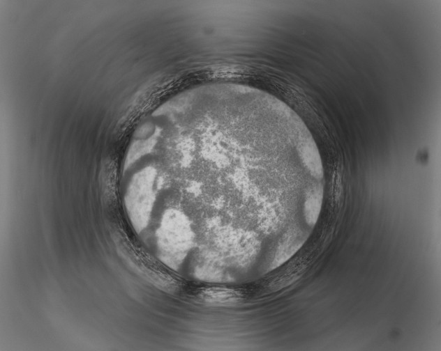 X0000114650557200912011114