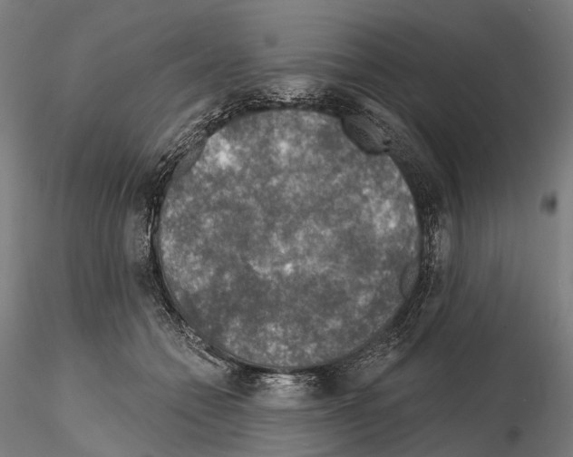 X0000114650558200912011115