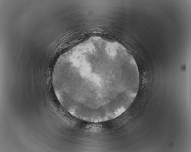 X0000114650559200912011115