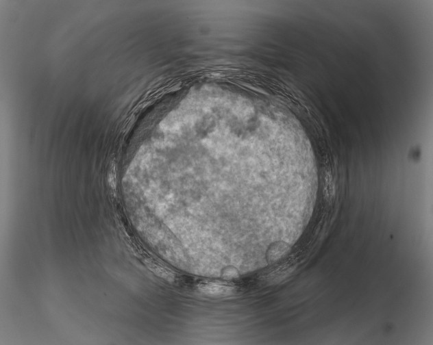 X0000114650561200912011115