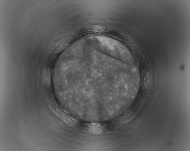 X0000114650562200912011115