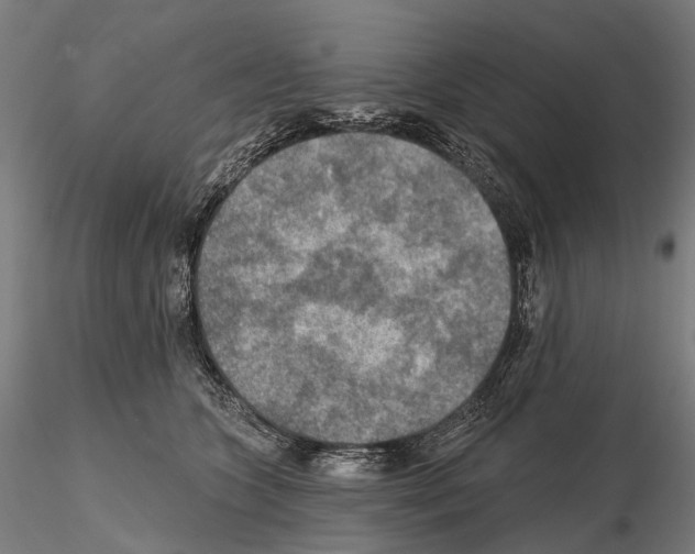 X0000114650563200912011115