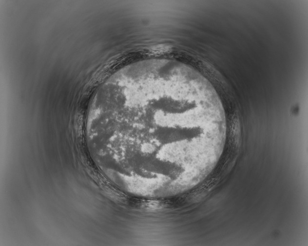 X0000114650565200912011115