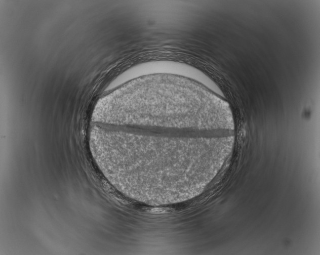 X0000114650566200912011115