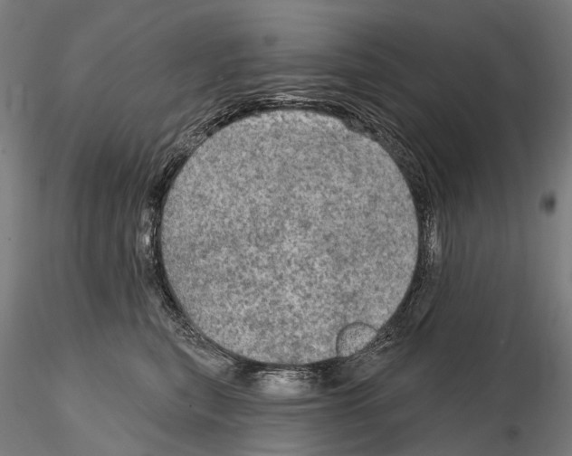 X0000114650567200912011115