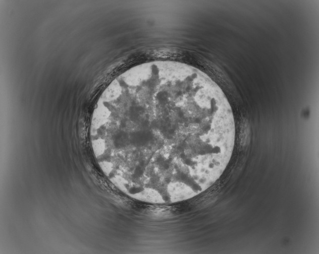 X0000114650569200912011115