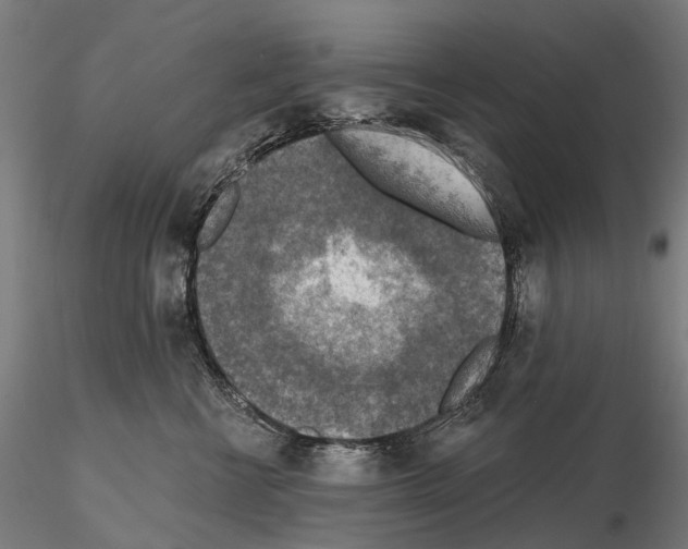 X0000114650570200912011115