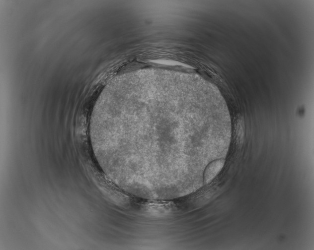 X0000114650571200912011115