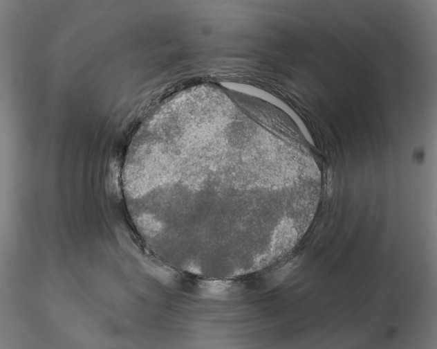 X0000114650575200912011115