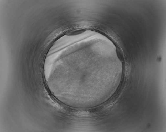 X0000114650577200912011114