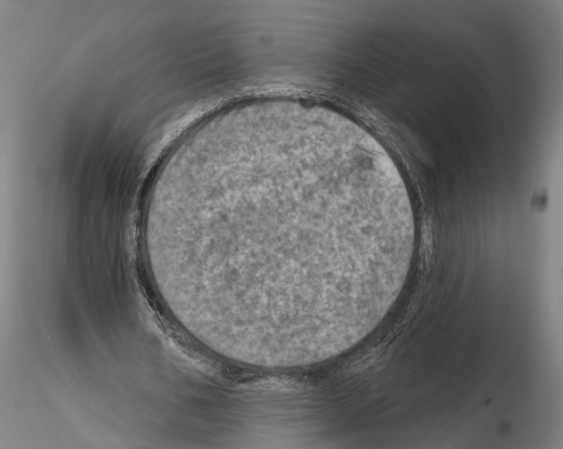 X0000114650578200912011114