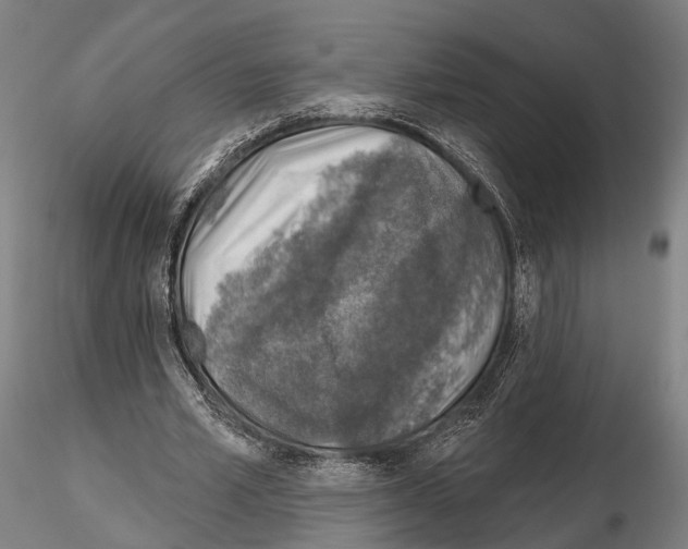 X0000114650581200912011114