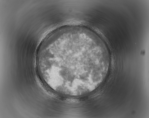 X0000114650582200912011114