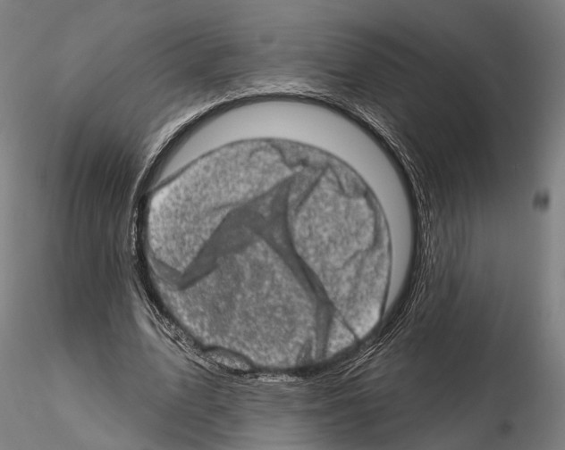 X0000114650583200912011114