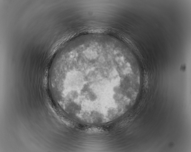 X0000114650586200912011114