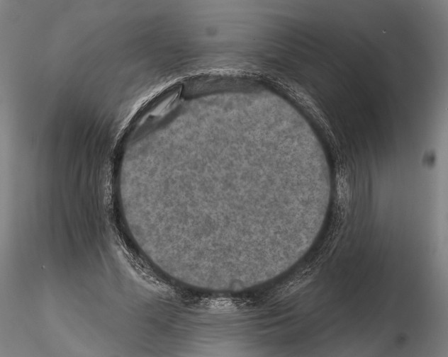 X0000114650588200912011114