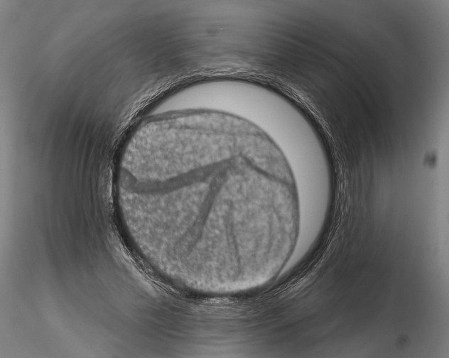 X0000114650589200912011114