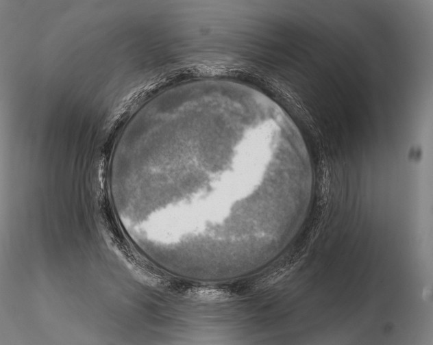 X0000114650590200912011114