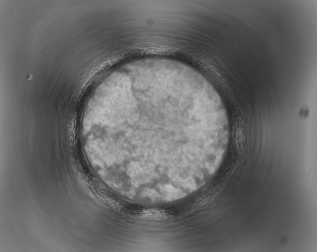 X0000114650591200912011114